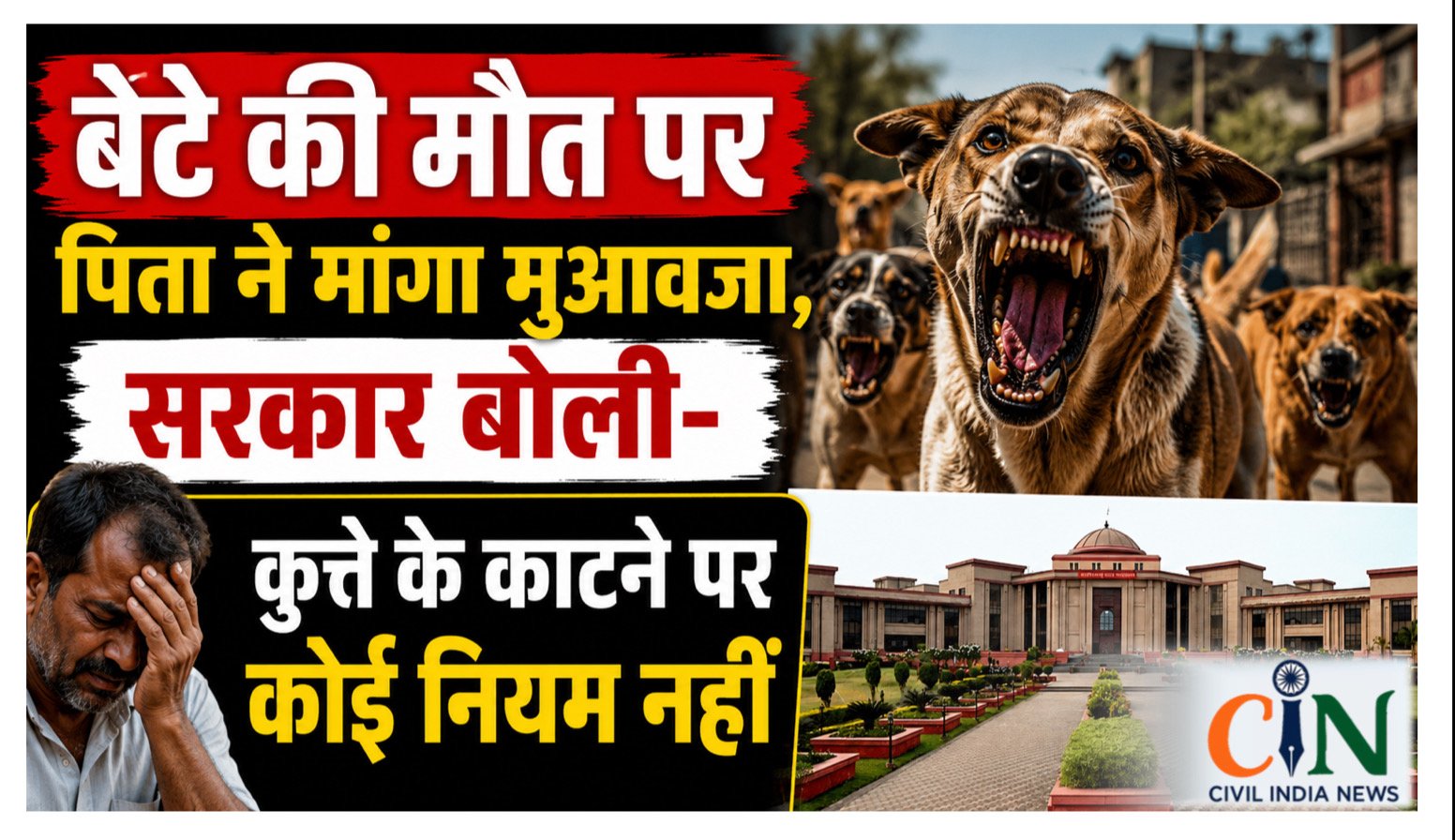 Bilaspur High Court: आवारा कुत्ते के काटने से बेटे की मौत, पिता ने मांगा 4 लाख मुआवजा; सरकार बोली- कोई प्रावधान नहीं