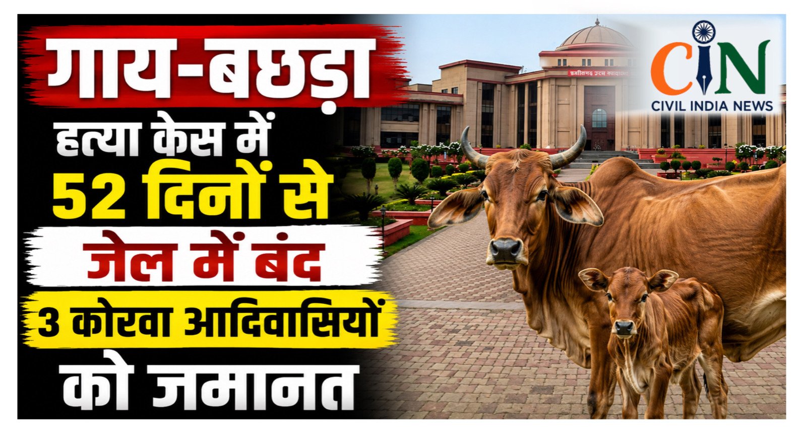 Bilaspur High Court: गाय-बछड़ा हत्या केस में 52 दिनों से जेल में बंद 3 कोरवा आदिवासियों को जमानत